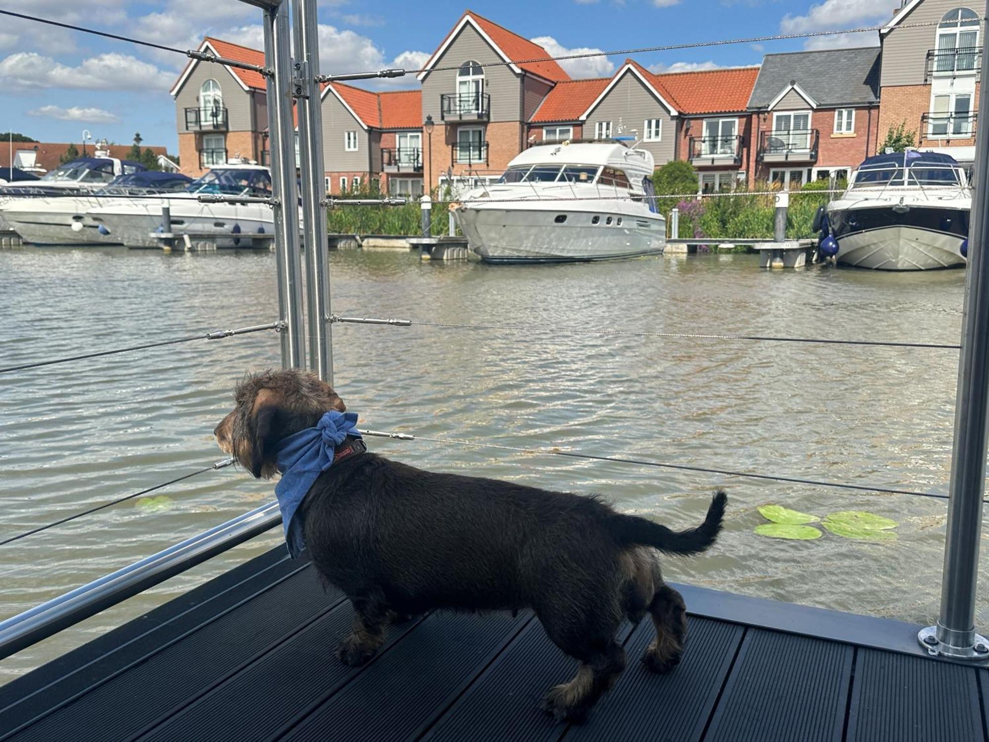 Lincoln Floating Holidays Luaran gambar